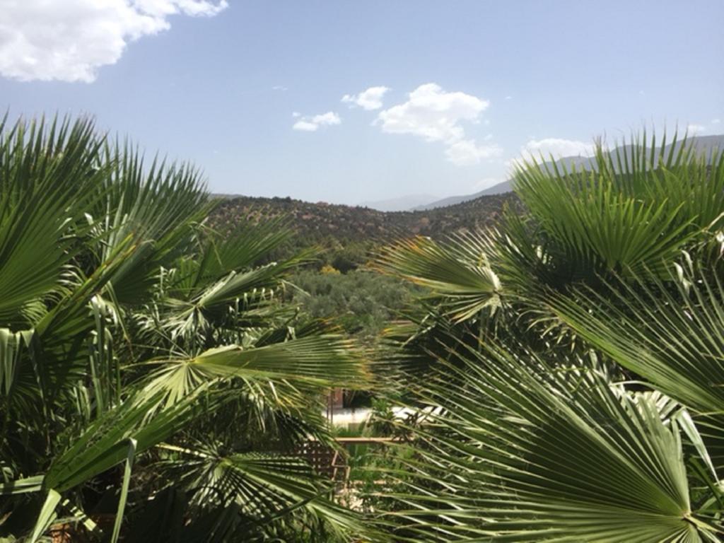 Domaine Malika - Adults Only Hotel เวียร์เกน ภายนอก รูปภาพ
